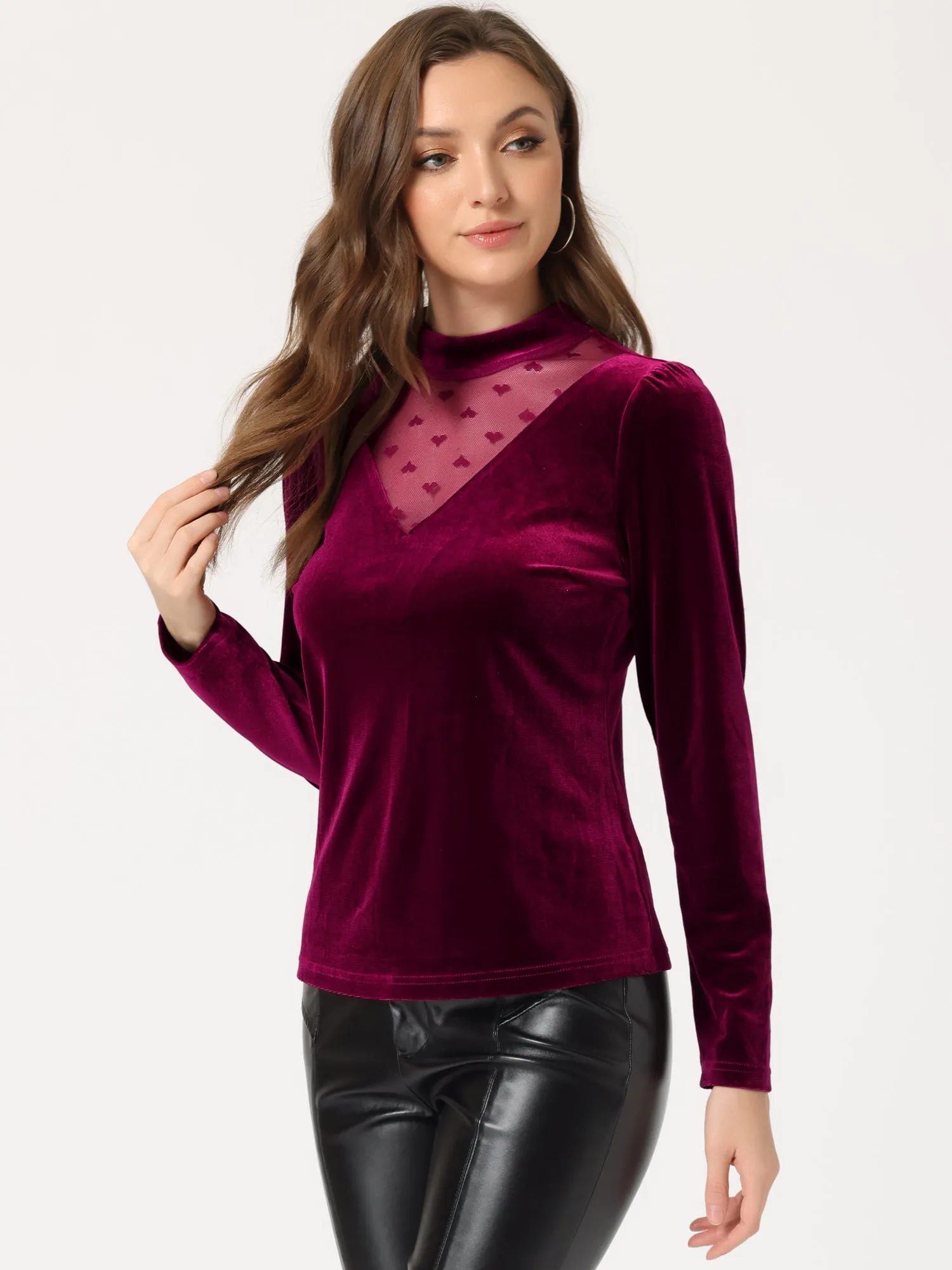 Casual Velvet Long Sleeve Choker Neck Heart Dots Mesh Panel Top