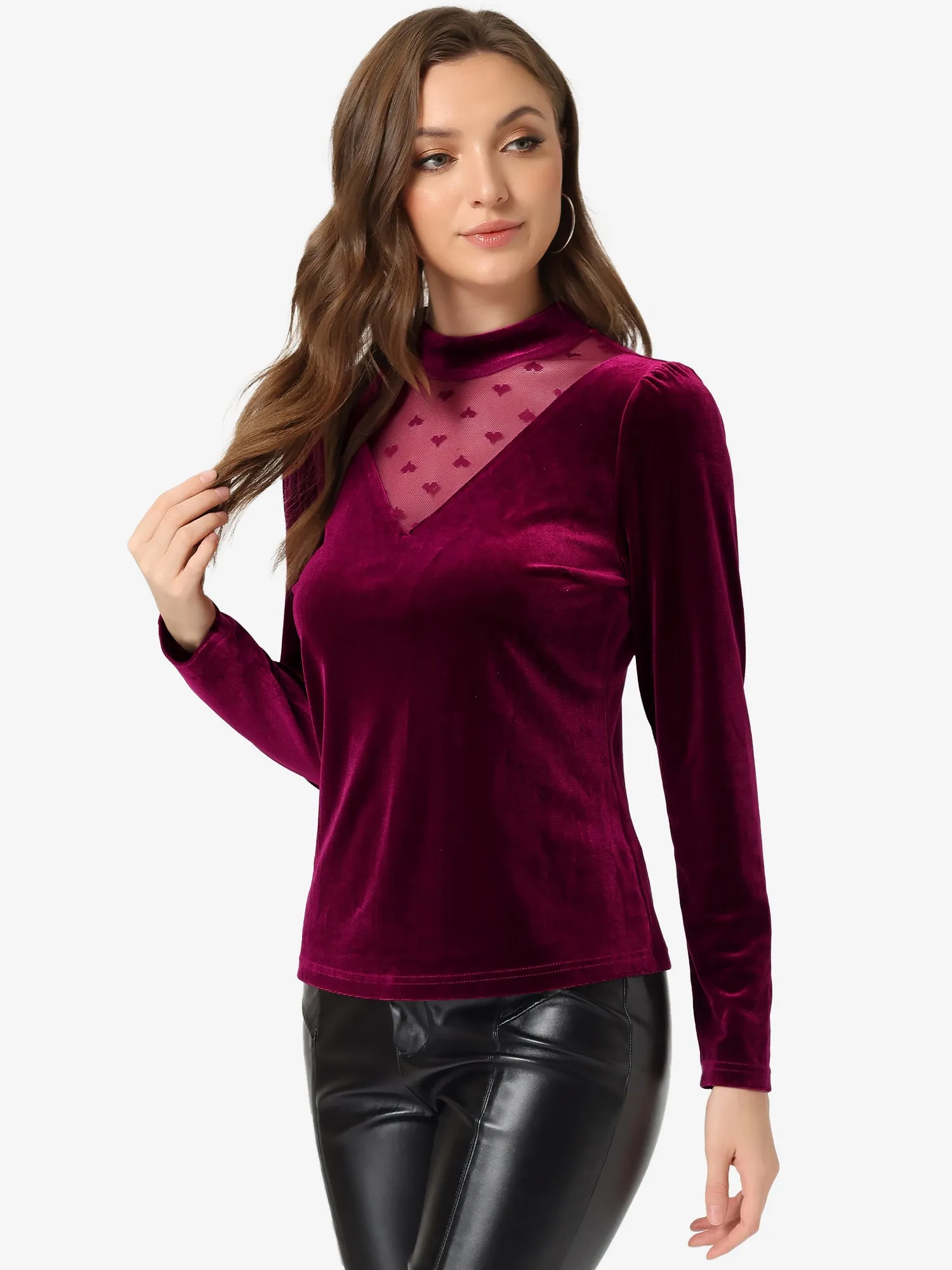 Casual Velvet Long Sleeve Choker Neck Heart Dots Mesh Panel Top