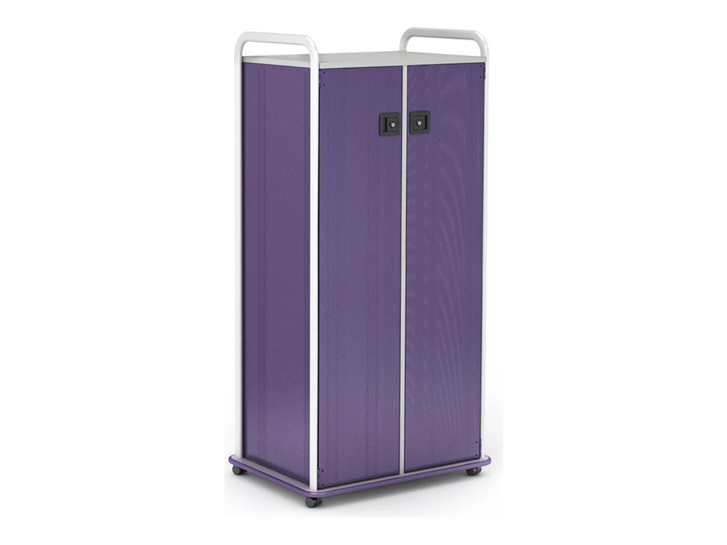 Paragon A&D Crossfit Storage - Trolley - 32 drawers - 2 doors - 16 gauge tubular steel, TFM - frost, purple, wisdom CFD60WDTOTES17-918PZP